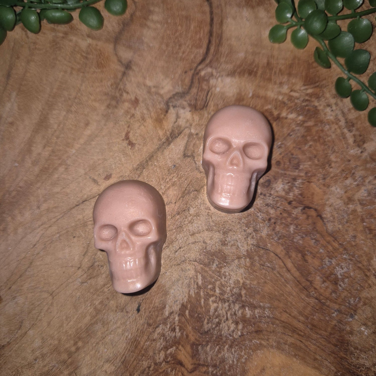 Alle Waxmelts