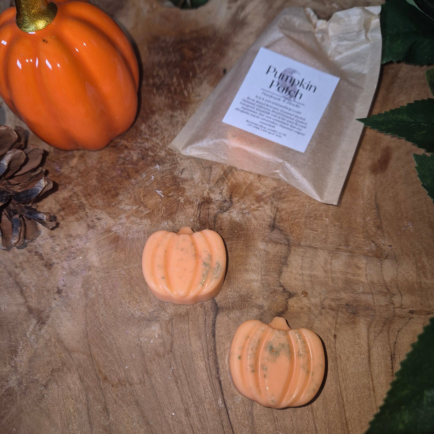 Pumpkin Patch