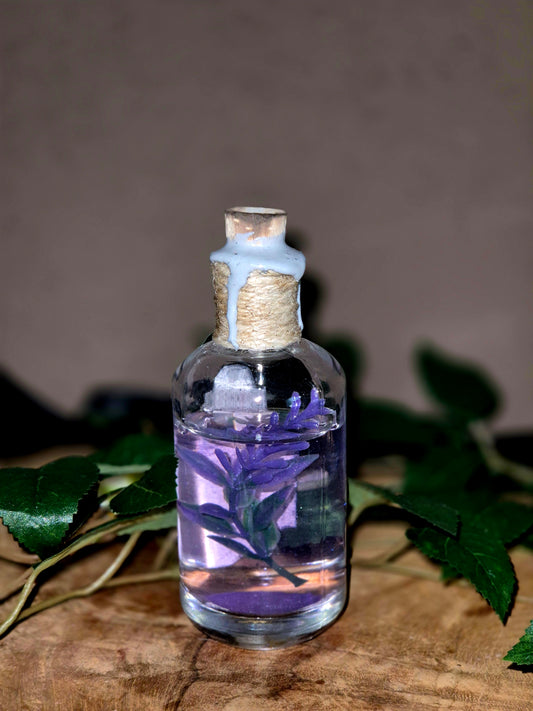 Vervain