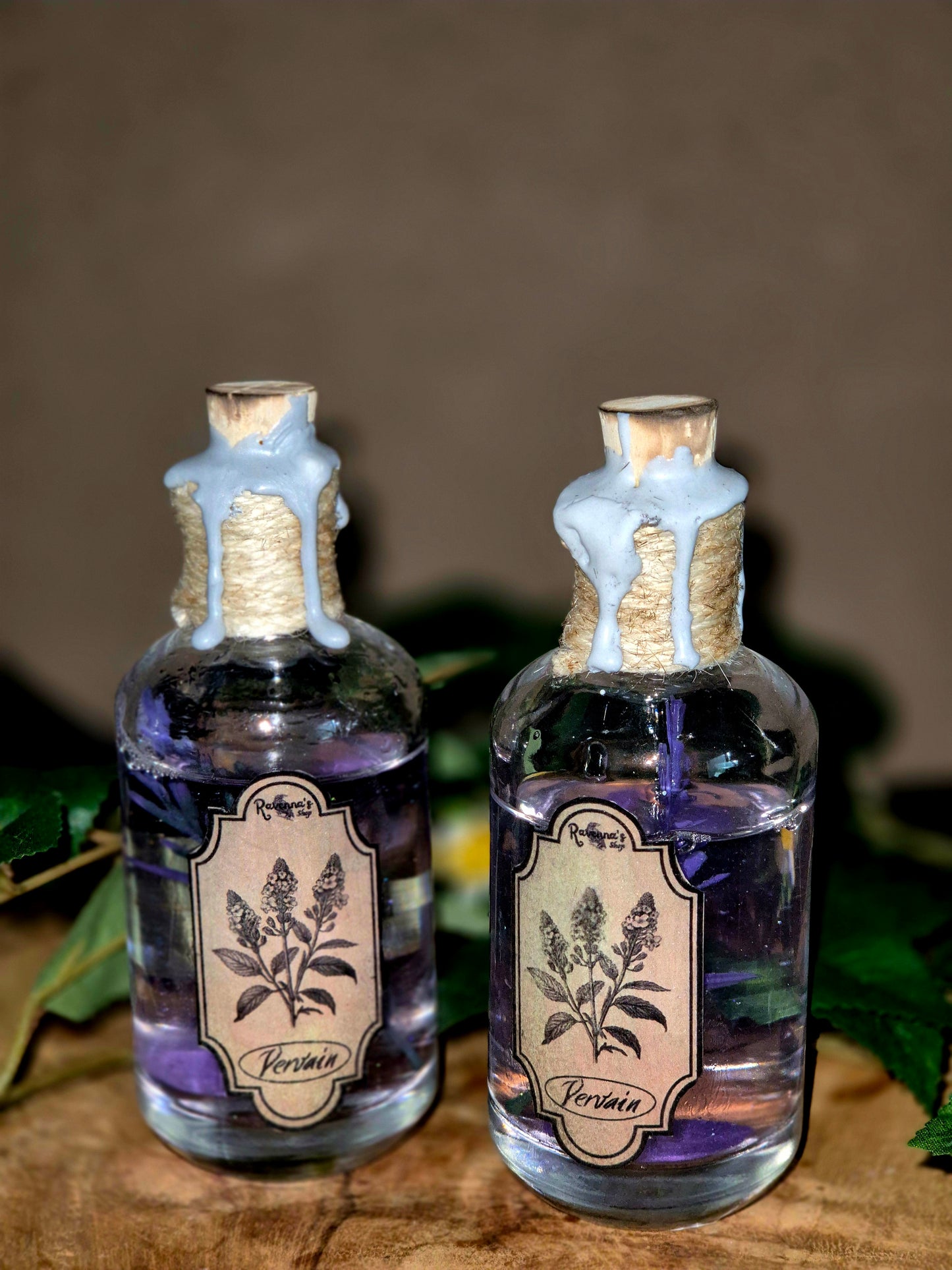 Vervain
