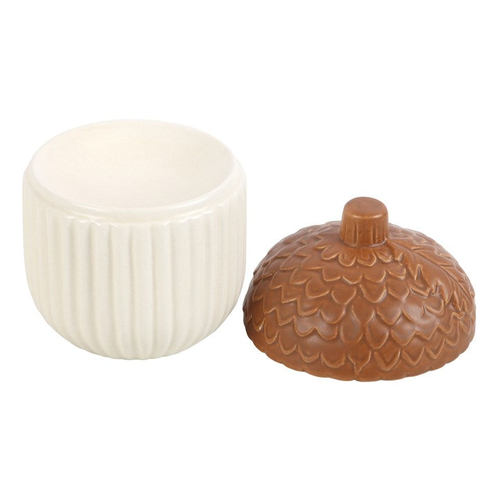 Acorn