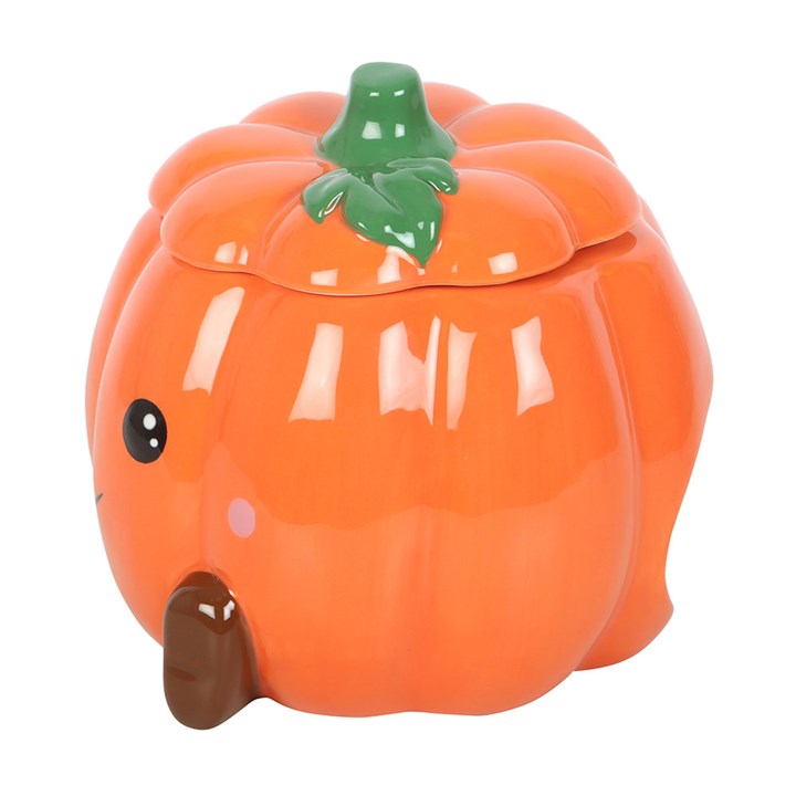 Cute Pumpkin